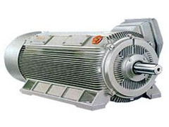 高壓電機總出問題，看看是不是防護(hù)不到位
