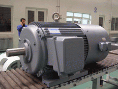 變頻電機(jī)的ZTP電機(jī)應(yīng)用場(chǎng)合。