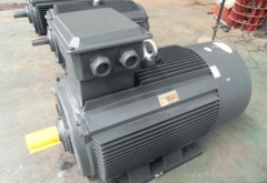 關(guān)于高壓電機(jī)外殼電機(jī)修理防護(hù)等級重要性分析。