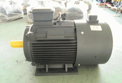 影響高效節(jié)能電機(jī)直流電機(jī)的效率的因素有哪些？