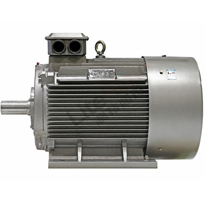 YE5高效電機(jī)則是我們公司的旗艦產(chǎn)品之一